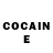 COCAIN Fish Scale sajahu8888