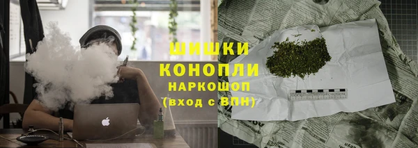 шишки Киренск