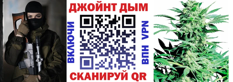 как найти   Городовиковск  Шишки марихуана сатива 